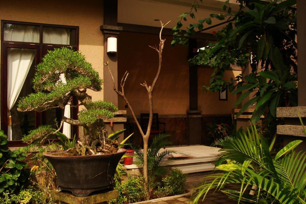 Doubleyou Homestay Pemuteran Exterior photo